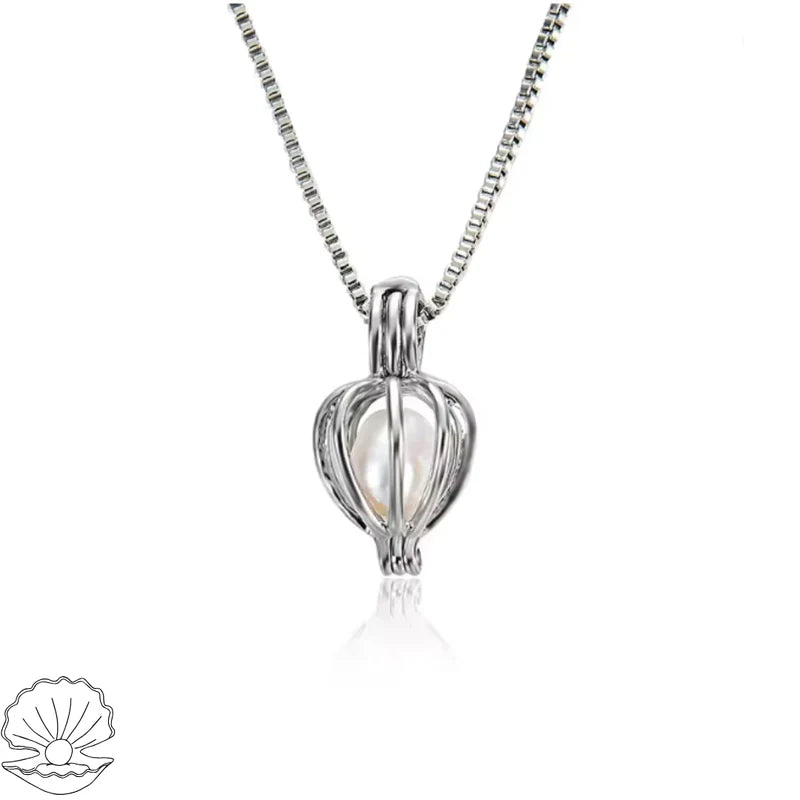 https://cdn.shopify.com/s/files/1/1025/8205/9347/files/129d1bb5-01c0-4496-94f5-c41524e86b18.webp?v=1771017854