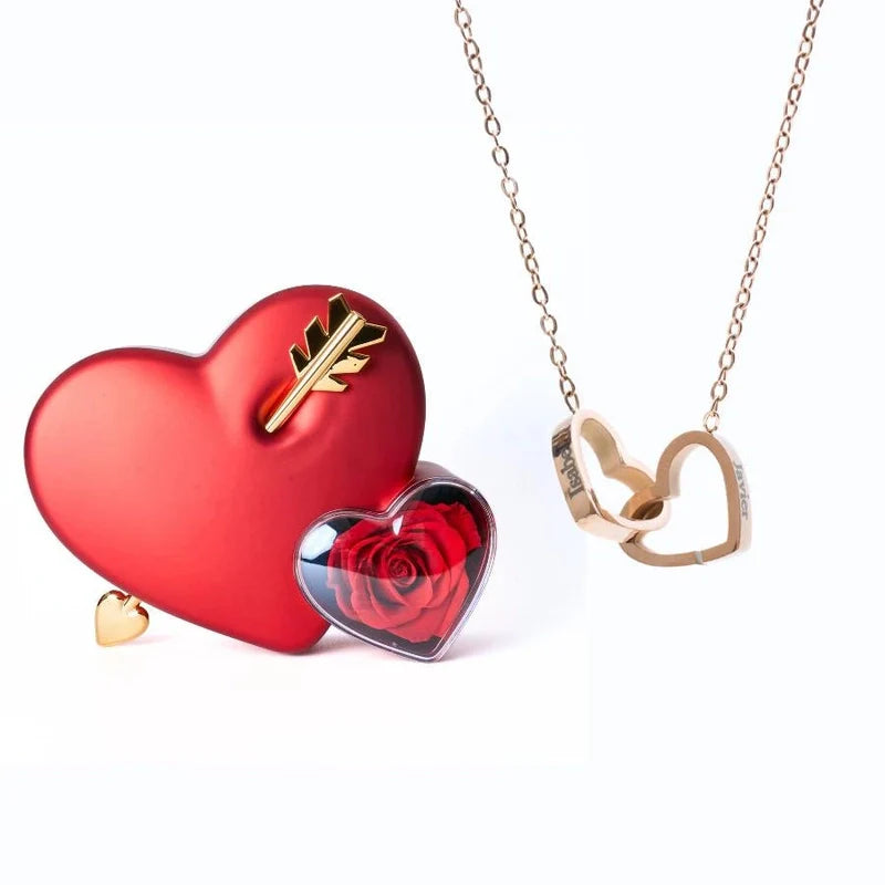 https://cdn.shopify.com/s/files/1/1025/8205/9347/files/3e271ad1-61b6-4dc1-9464-ef4ce4e241a0.webp?v=1771017856