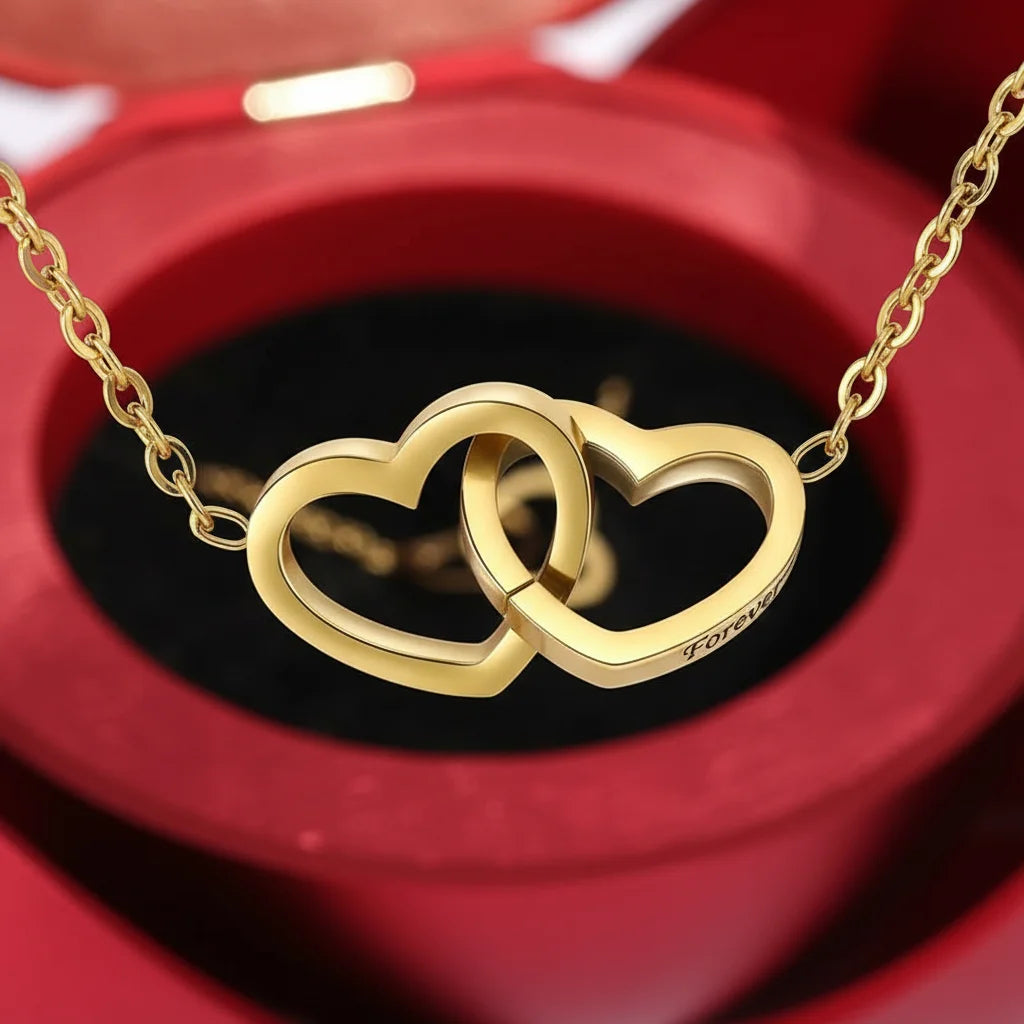 https://cdn.shopify.com/s/files/1/1025/8205/9347/files/43084304-9000-40b3-a3b4-d142b03cb2fb.webp?v=1771017858